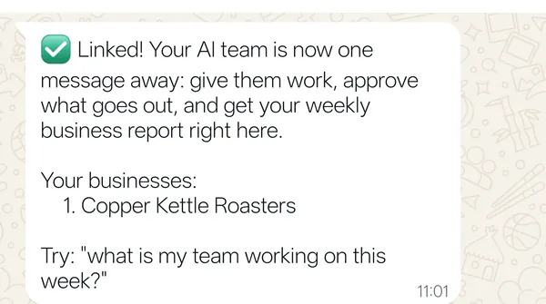 A real WhatsApp message from WPMaven for our test coffee store: give your team work, approve what goes out, and get your weekly report in the chat
