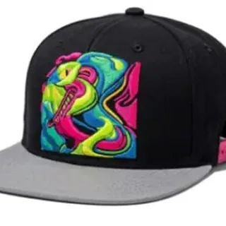 A snapback cap with an embroidered original design