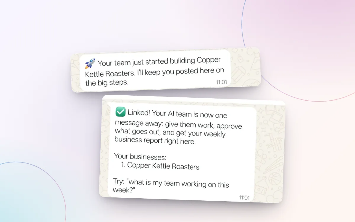 Messages from the WPMaven team on WhatsApp while it builds a business